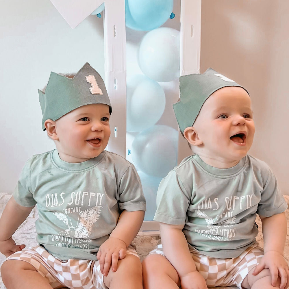 first birthday crown on boy twins for their cake smash photoshoot