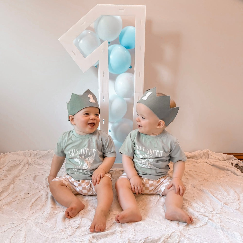 first birthday boy crown for boy twins celebrating their 1st birthday photoshoot
